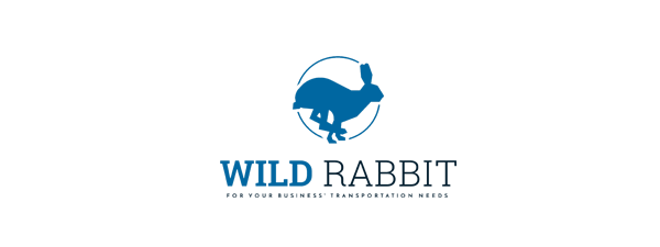 wild rabit